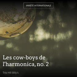 Les cow-boys de l'harmonica, no. 2