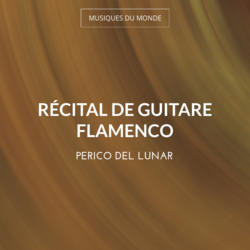 Récital de guitare flamenco