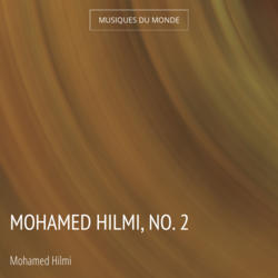 Mohamed Hilmi, No. 2
