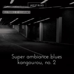 Super ambiance blues kangourou, no. 2
