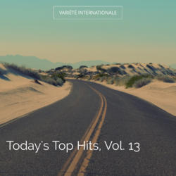 Today's Top Hits, Vol. 13