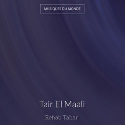 Tair El Maali