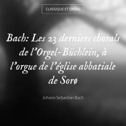 Bach: Les 23 derniers chorals de l'Orgel-Büchlein, à l'orgue de l'église abbatiale de Sorø