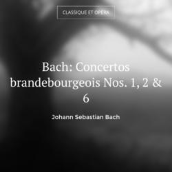 Bach: Concertos brandebourgeois Nos. 1, 2 & 6