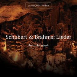Schubert & Brahms: Lieder