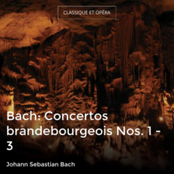 Bach: Concertos brandebourgeois Nos. 1 - 3