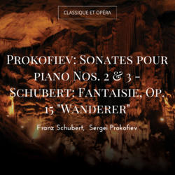 Prokofiev: Sonates pour piano Nos. 2 & 3 - Schubert: Fantaisie, Op. 15 "Wanderer"