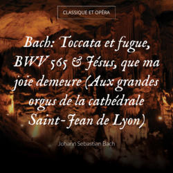 Bach: Toccata et fugue, BWV 565 & Jésus, que ma joie demeure (Aux grandes orgus de la cathédrale Saint-Jean de Lyon)