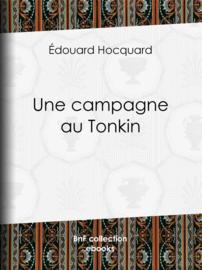 Une campagne au Tonkin