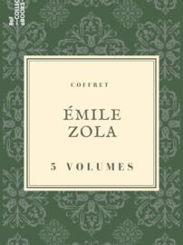 Coffret Émile Zola